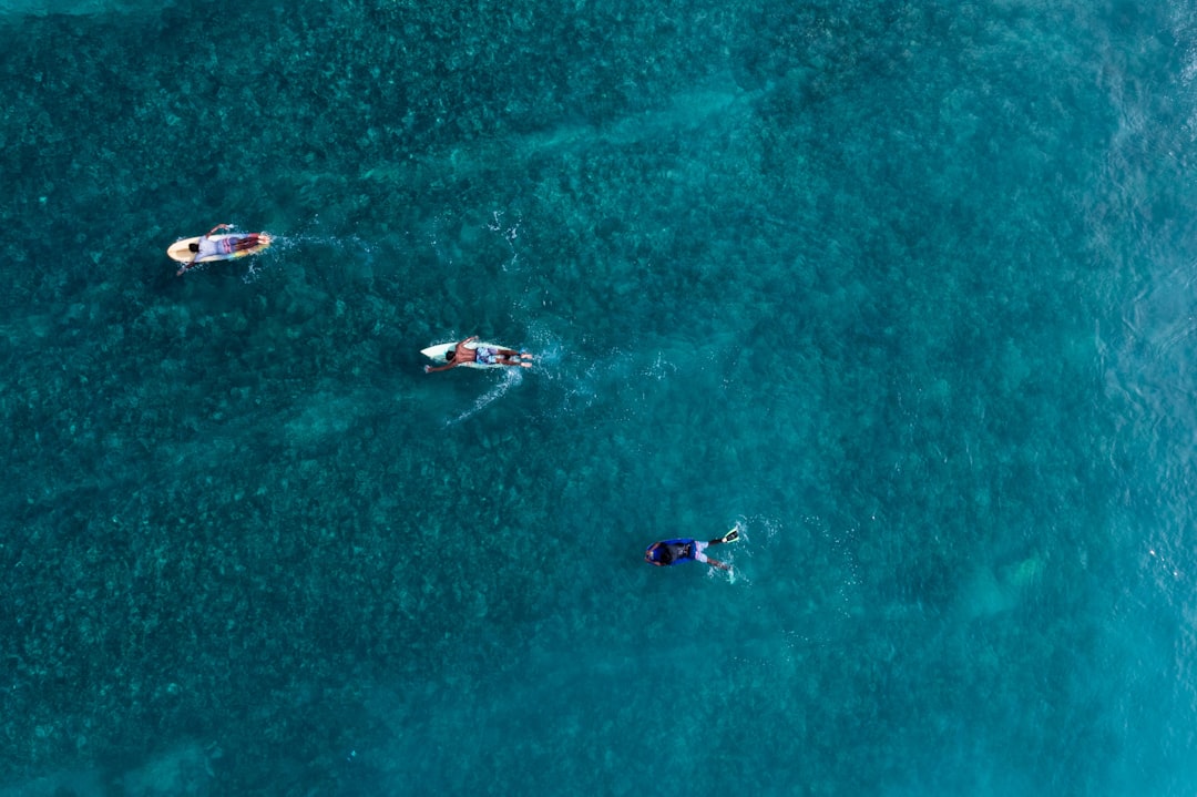 aerial view of people riding on boat on sea during daytime