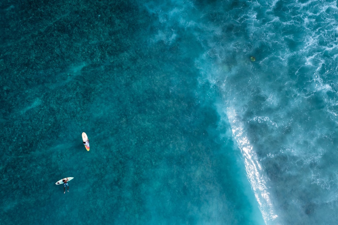 aerial view of 2 person surfing on sea during daytime