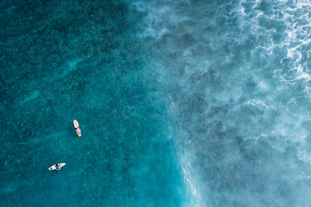 aerial view of people surfing on sea during daytime