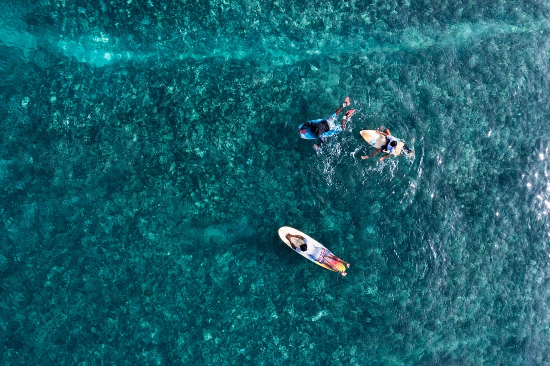 aerial view of people surfing on sea during daytime