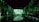 A dark, immersive space with vivid green projections covering the walls and ceiling, resembling a natural, forest-like setting. Silhouettes of people stand on a bridge, creating reflections in the water below.