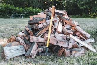 brown wood logs on green grass field during daytime