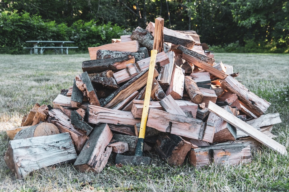 Troncos de madera marrón en un campo de hierba verde durante el día