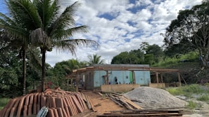Image of a young man inspecting wood samples at a construction site surrounded by tropical plants.