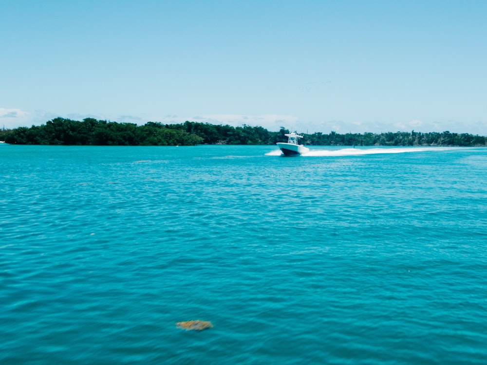 white and blue boat on sea during daytime