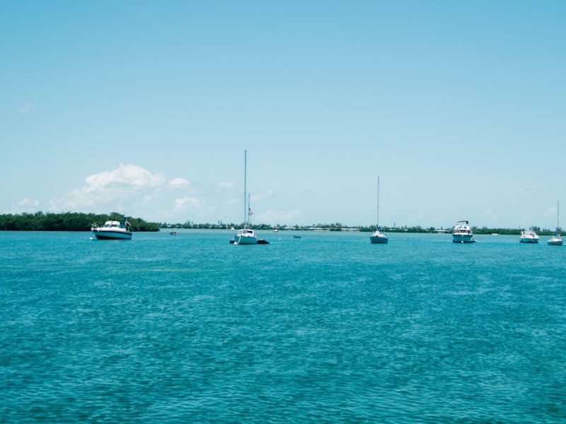 Sailboats and motorboats anchored on flat turquoise water under a pale blue sky, a low green shoreline in the distance