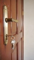 Close-up of shiny brass door handles and sturdy keys arranged neatly.