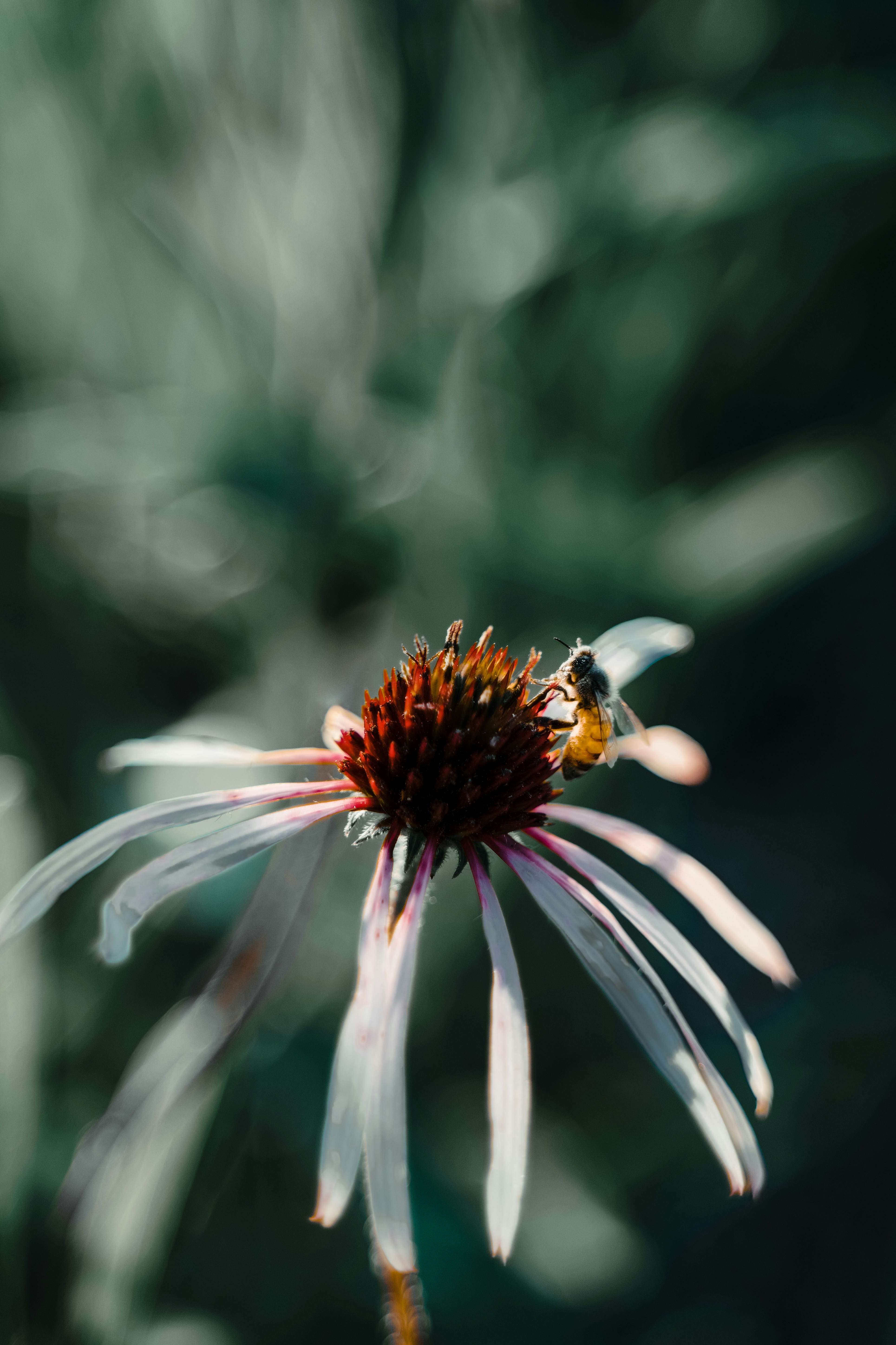 Photo by marcelocidrack