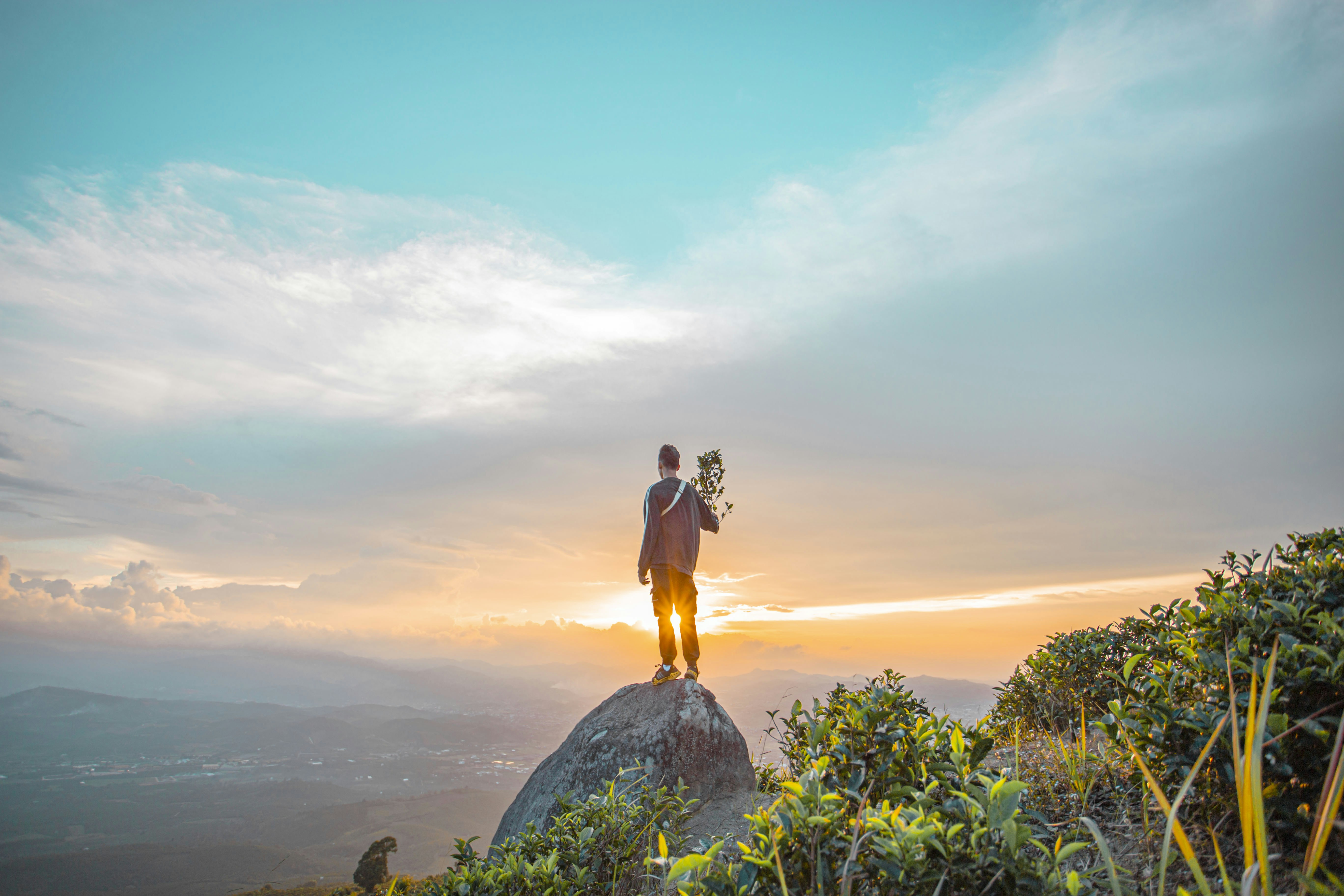 Photo by quangdieu195