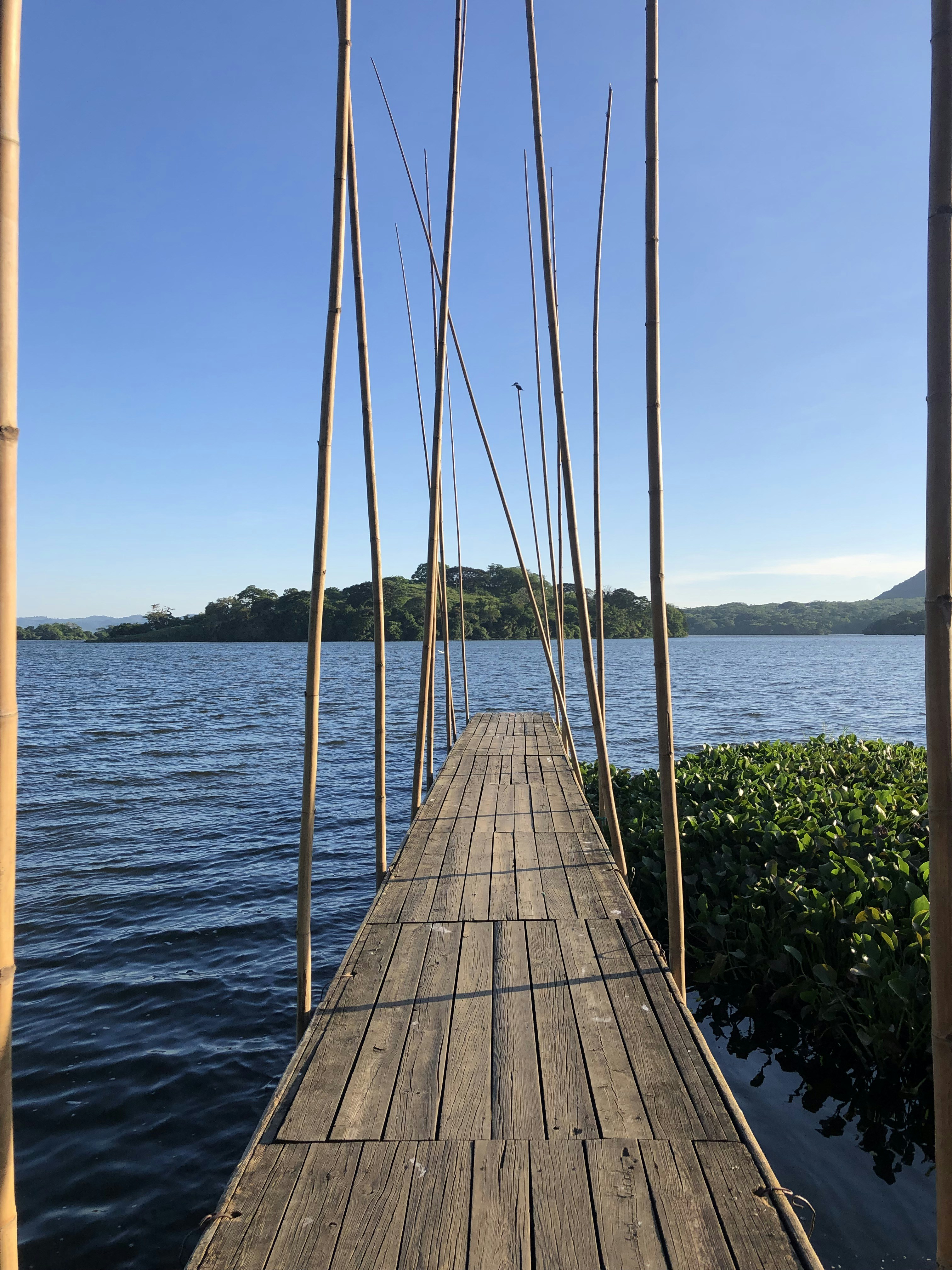 brown wooden dock on sea during daytime
