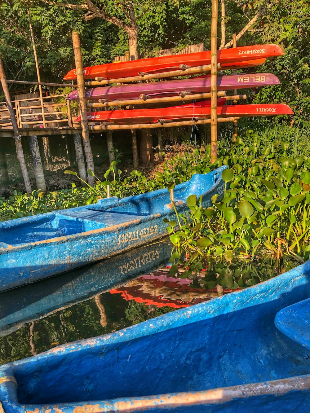 blue and red canoe on river