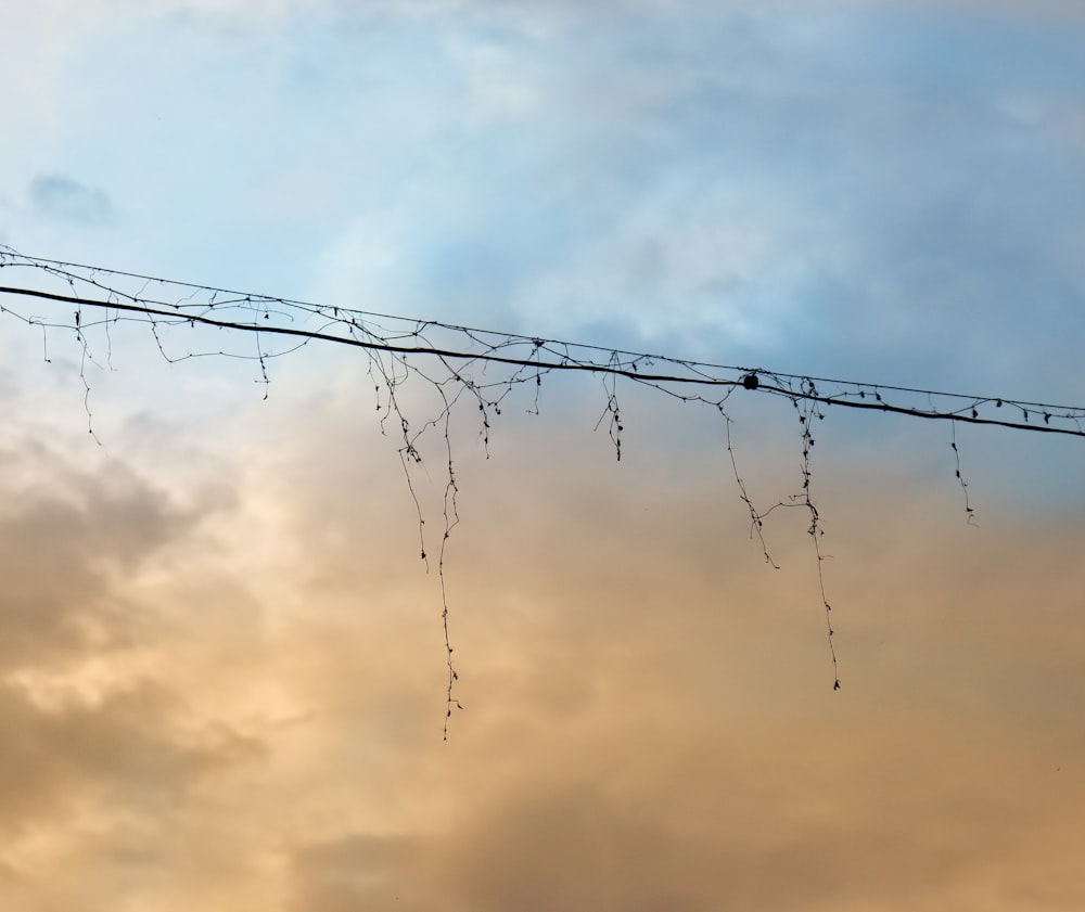 black wire under cloudy sky during daytime