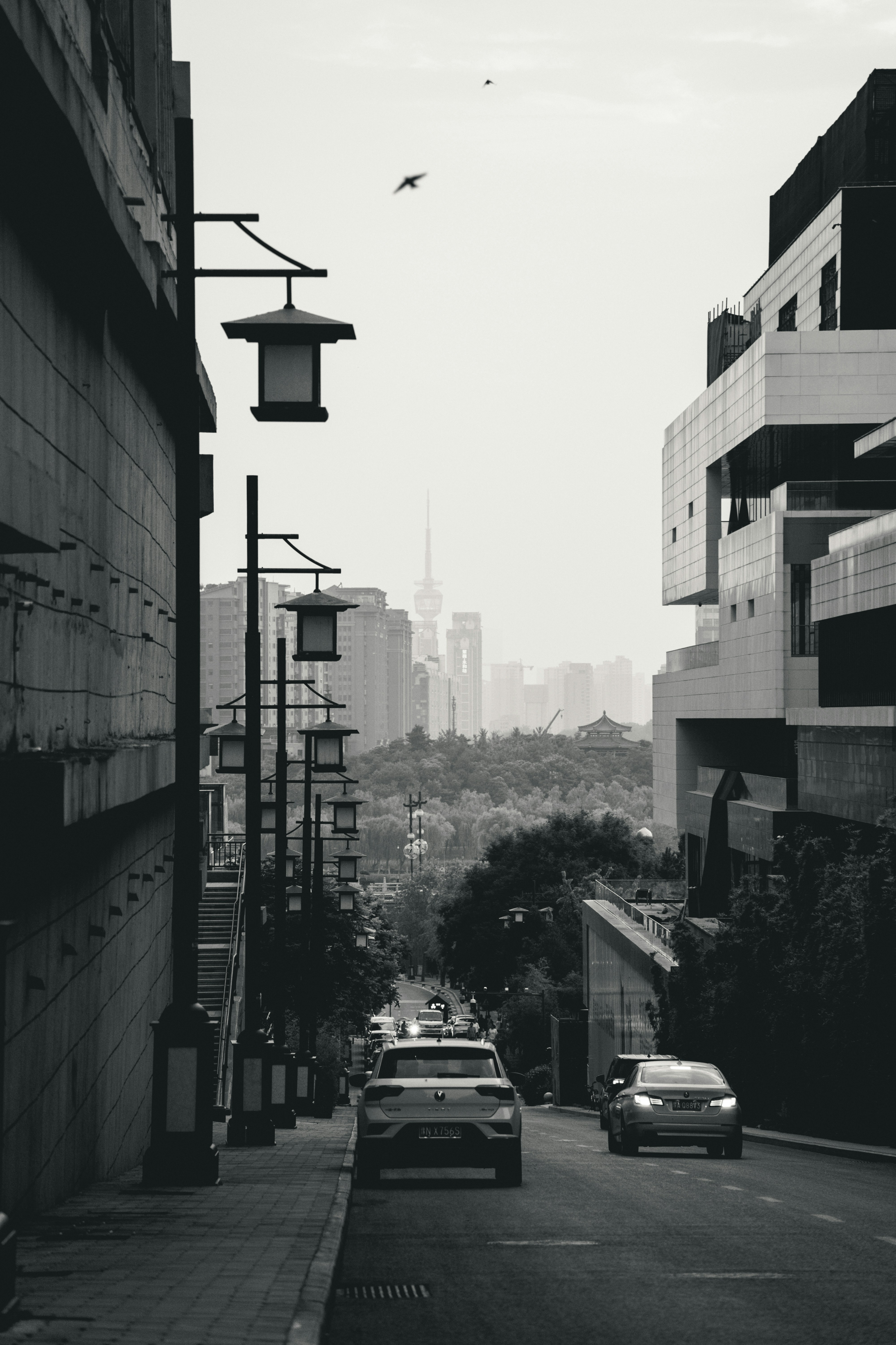 cars on road between buildings during daytime