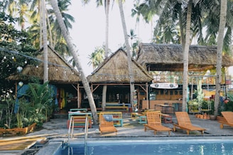 brown wooden lounge chairs near palm trees during daytime