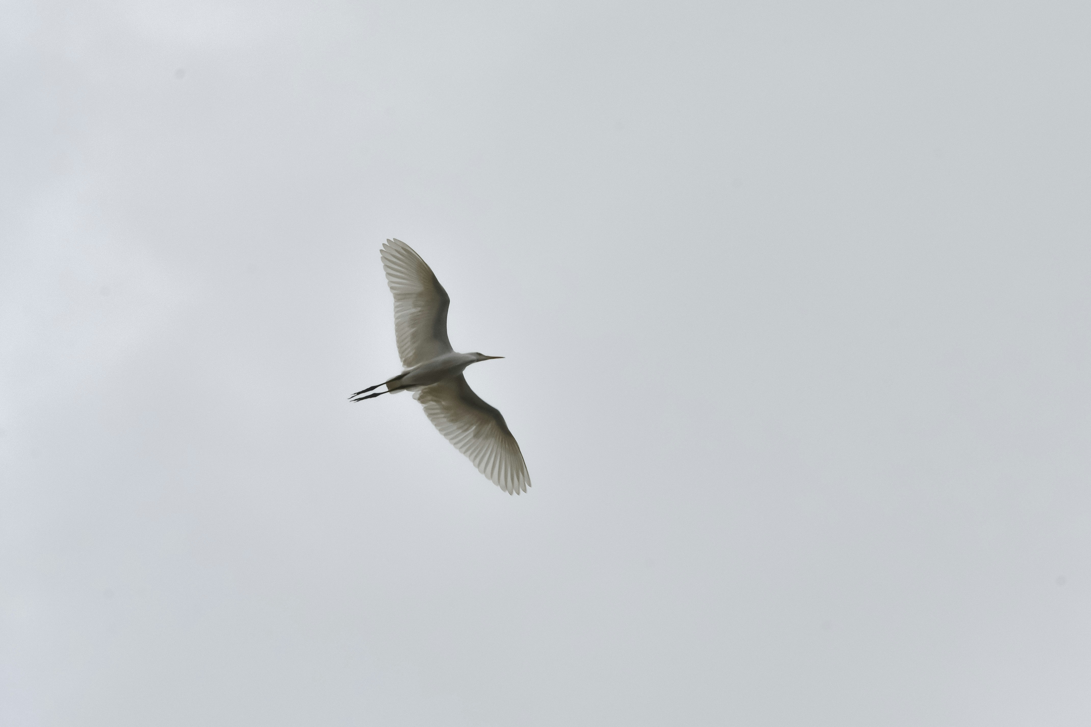 Photo by ganeshpartheeban