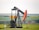 black and orange metal machine on green grass field during daytime
