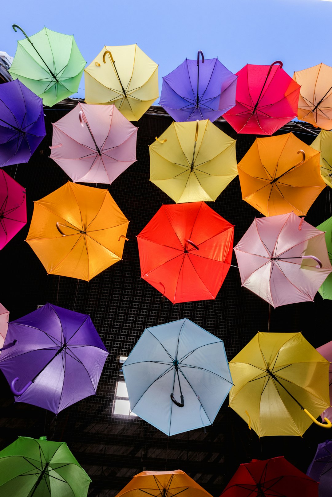 assorted umbrellas on the street