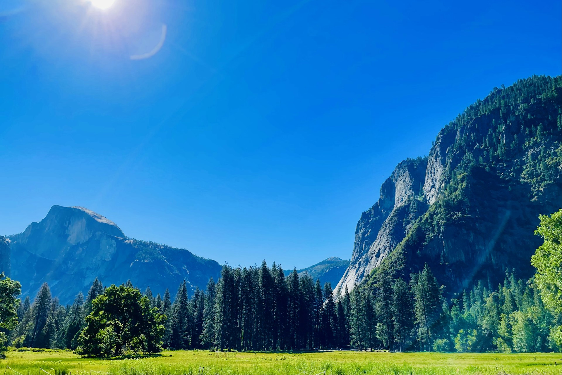 green pine trees near mountain under blue sky during daytime