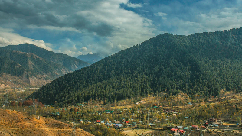 Best Meeting-Friendly Cafes in Chail for Calls and Client Sessions