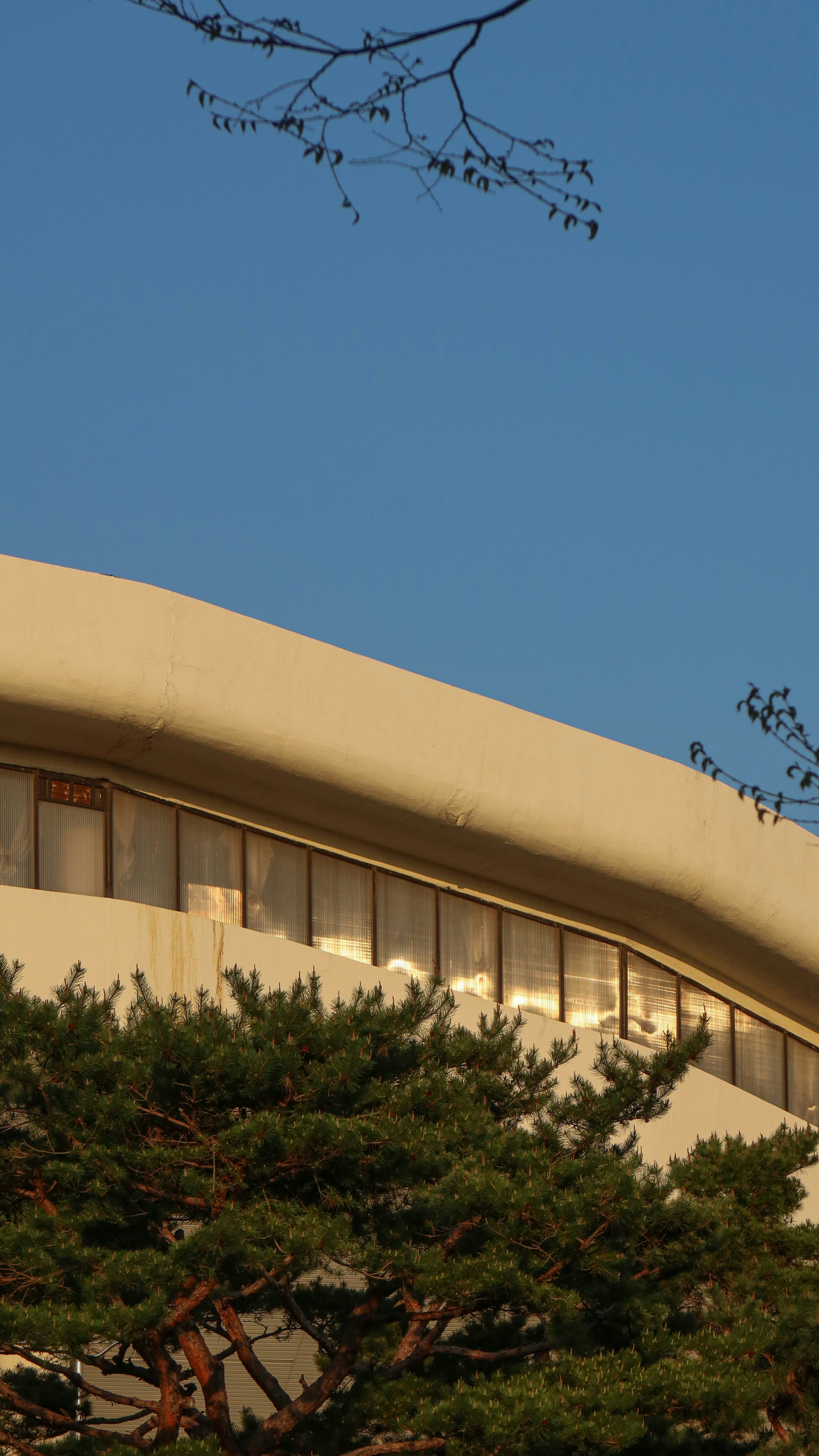 Beige Betongebäude in der Nähe von grünen Bäumen unter blauem Himmel tagsüber
