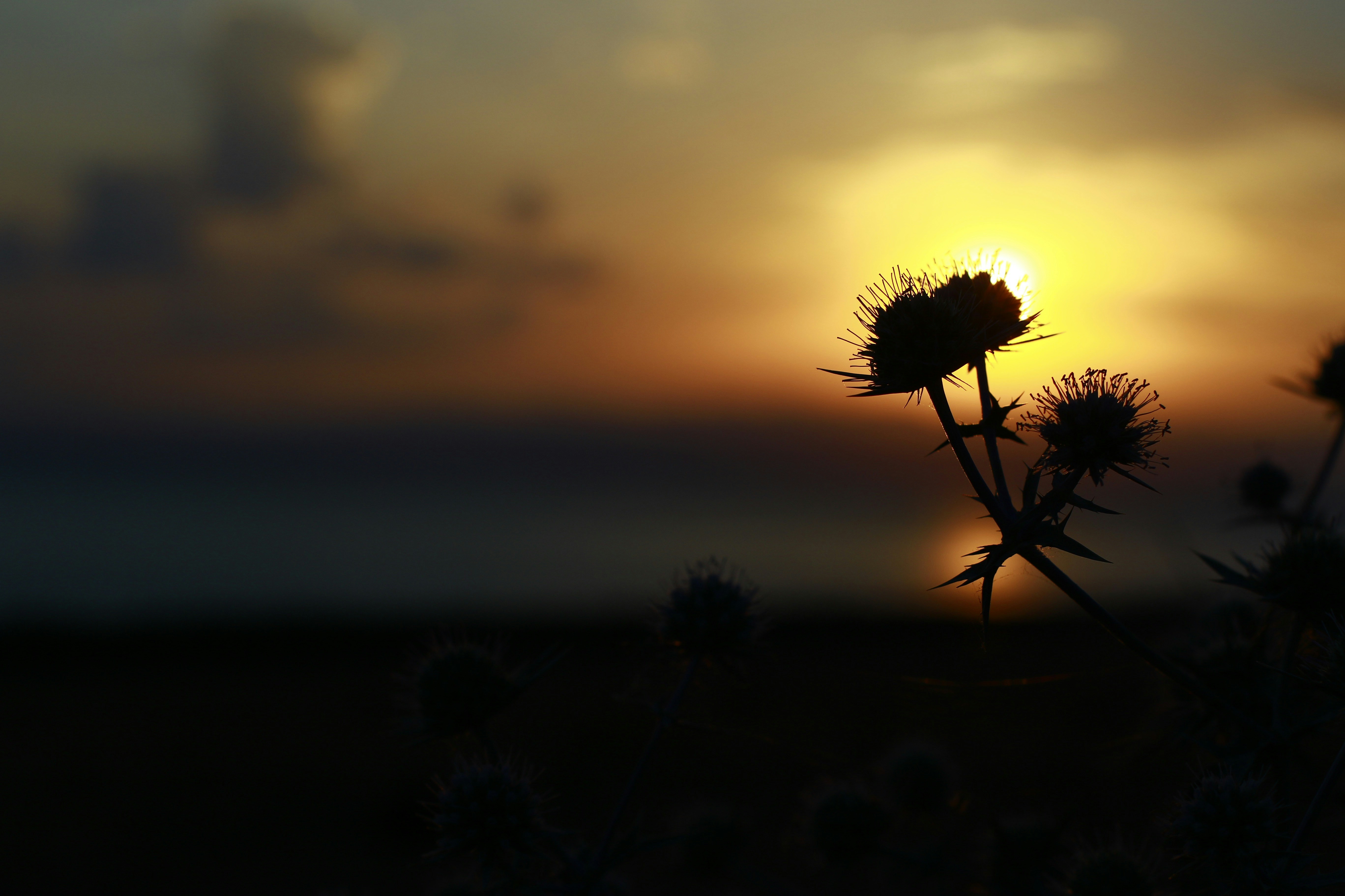 Photo by lusenkar