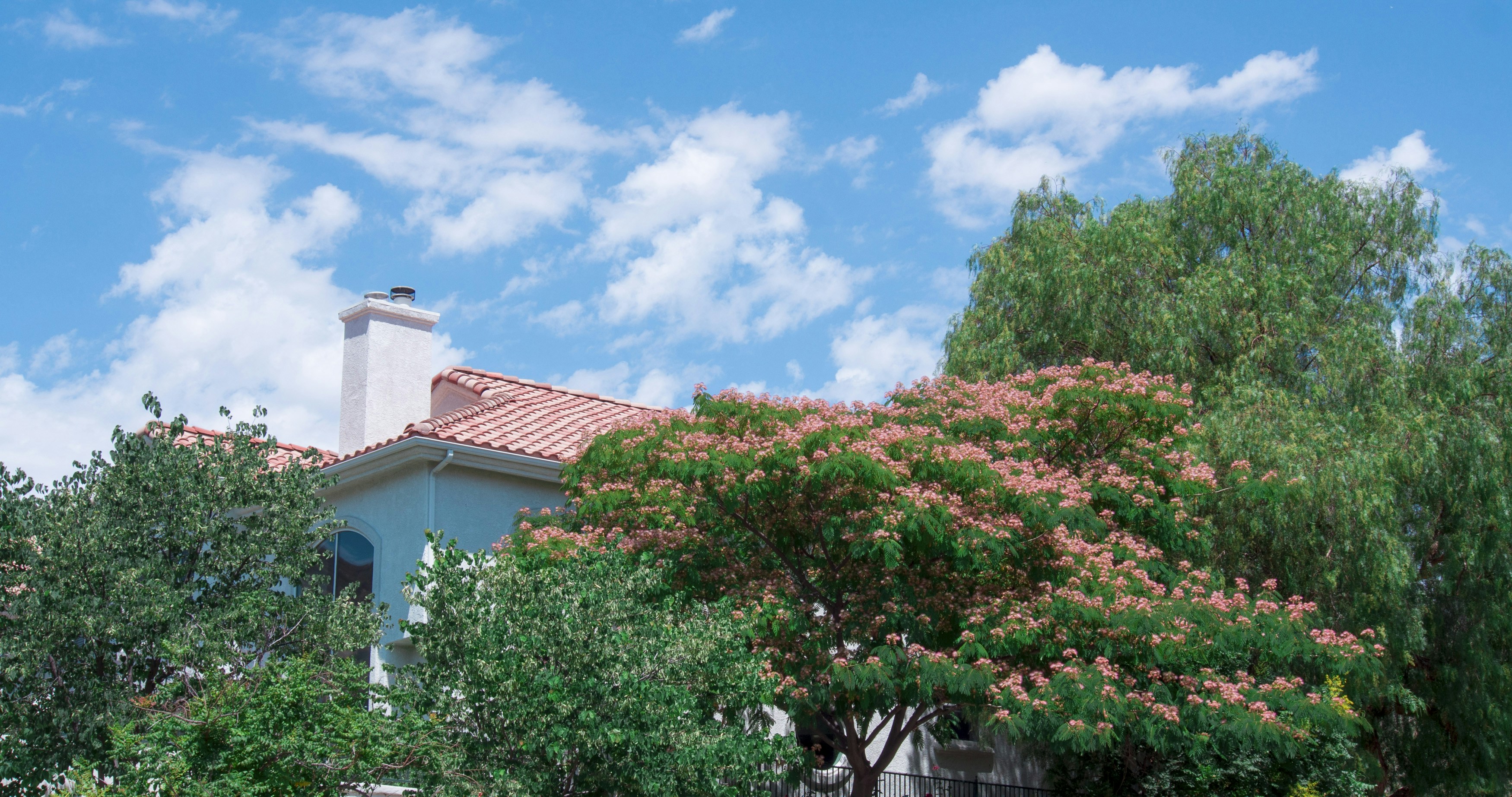 Photo by _nickwright_