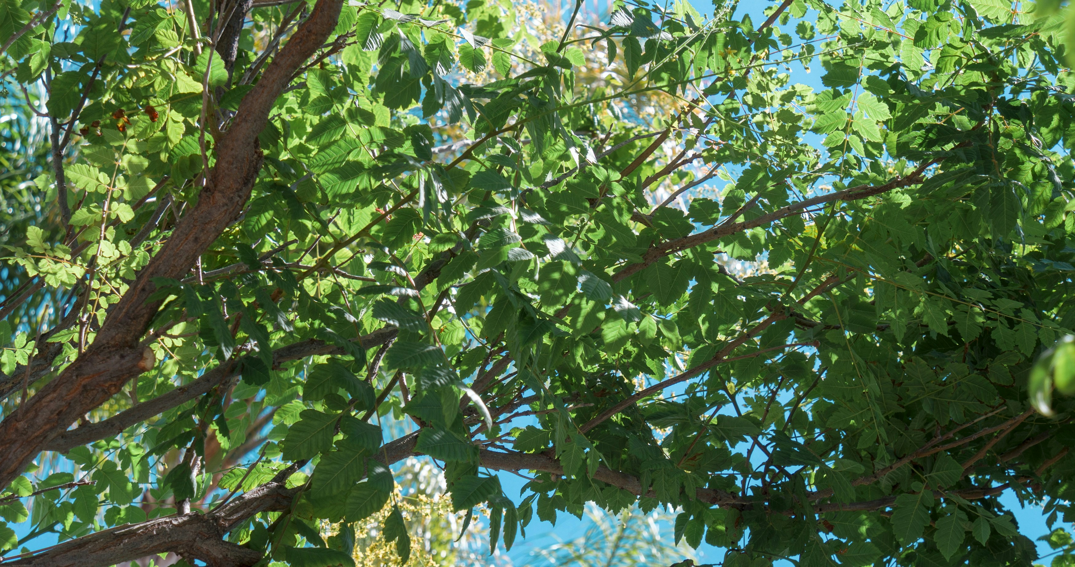 Photo by _nickwright_