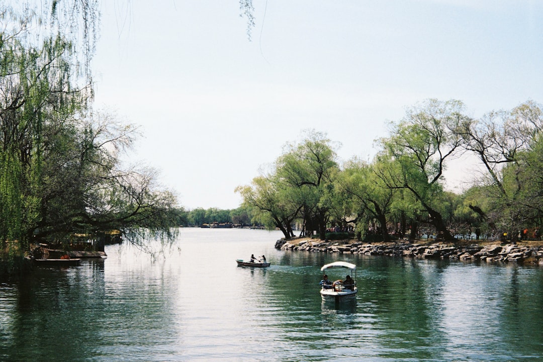 green trees beside river during daytime