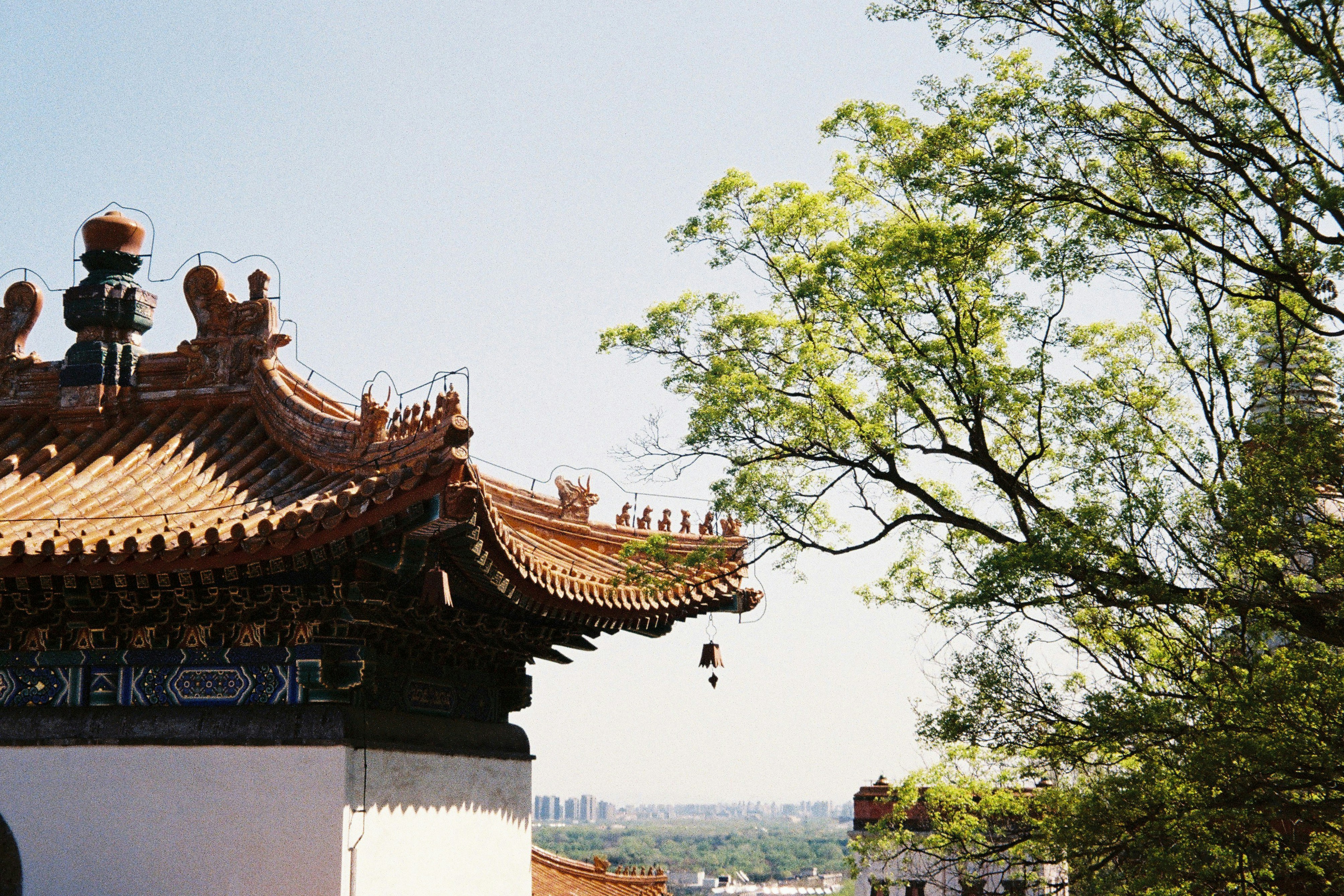 Photo by yfwong