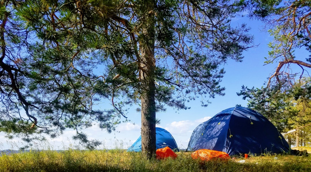 The Best Reasons To Make a Camping Trip To Louisiana This Year.