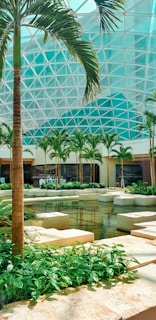 green palm trees near fountain