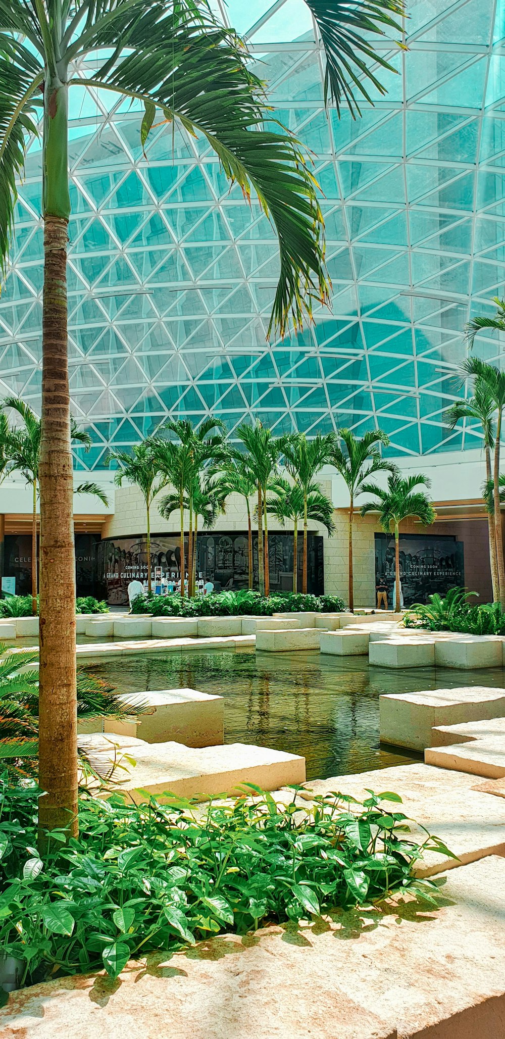 green palm trees near fountain