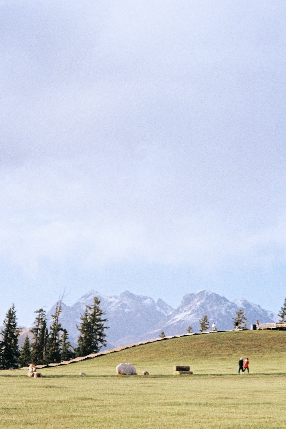 green trees on green grass field near mountain under white sky during daytime