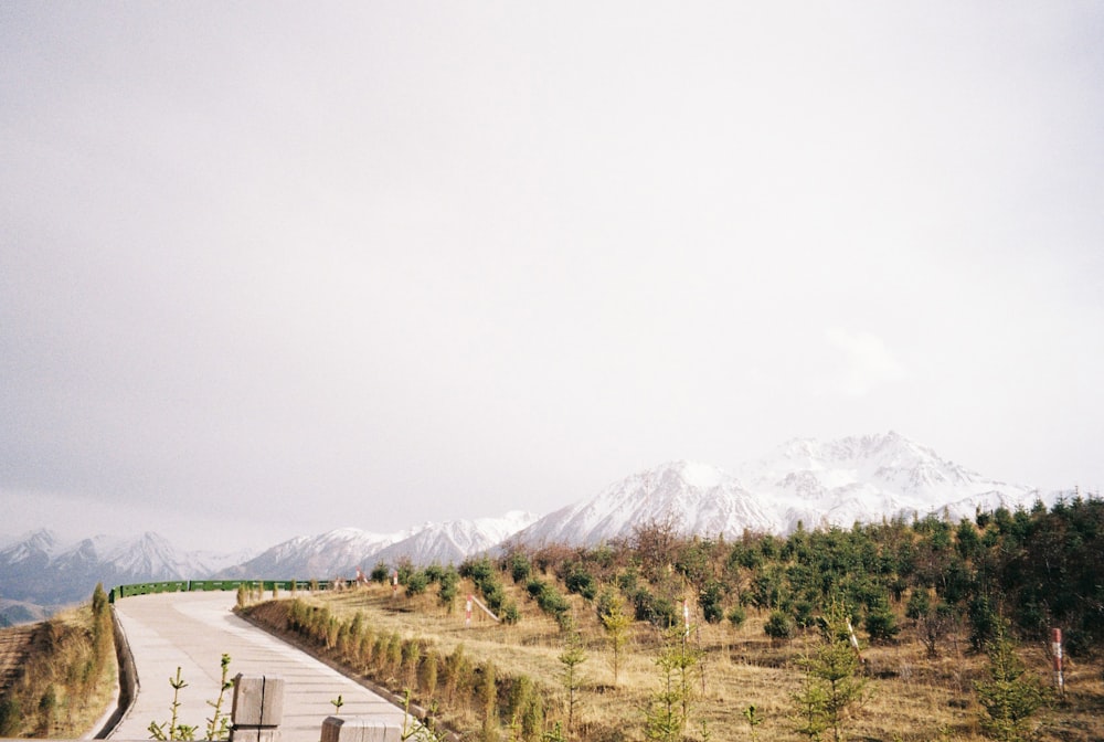 green grass field near snow covered mountain during daytime