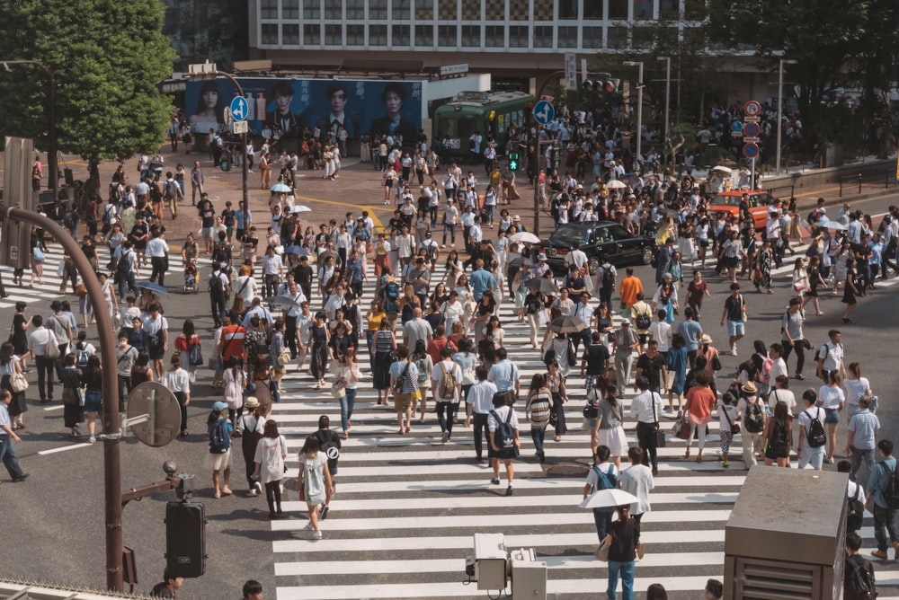 people walking on pedestrian lane during daytime