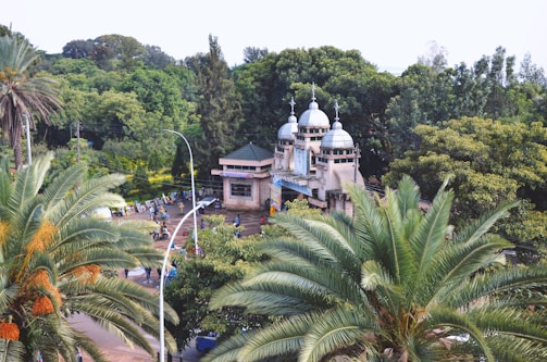 Aerial view of a lush, green area featuring a building with white domes and several palm trees. The building appears to be of a religious nature, surrounded by dense foliage and people walking around its premises. A tall street lamp is visible, and the surroundings convey a serene, peaceful environment.
