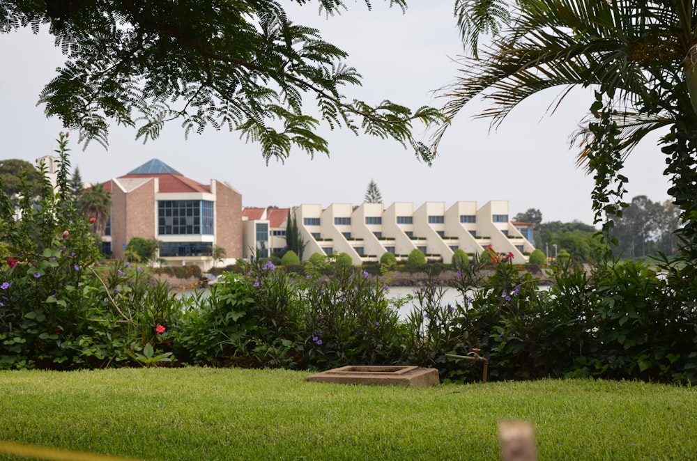 green grass field near white concrete building during daytime