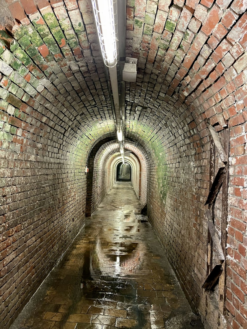 brown and gray brick tunnel