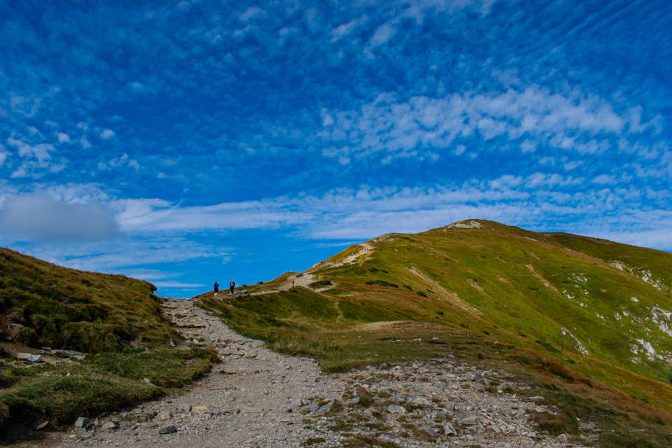 Two hikers walking on a winding mountain trail surrounded by lush green vegetation