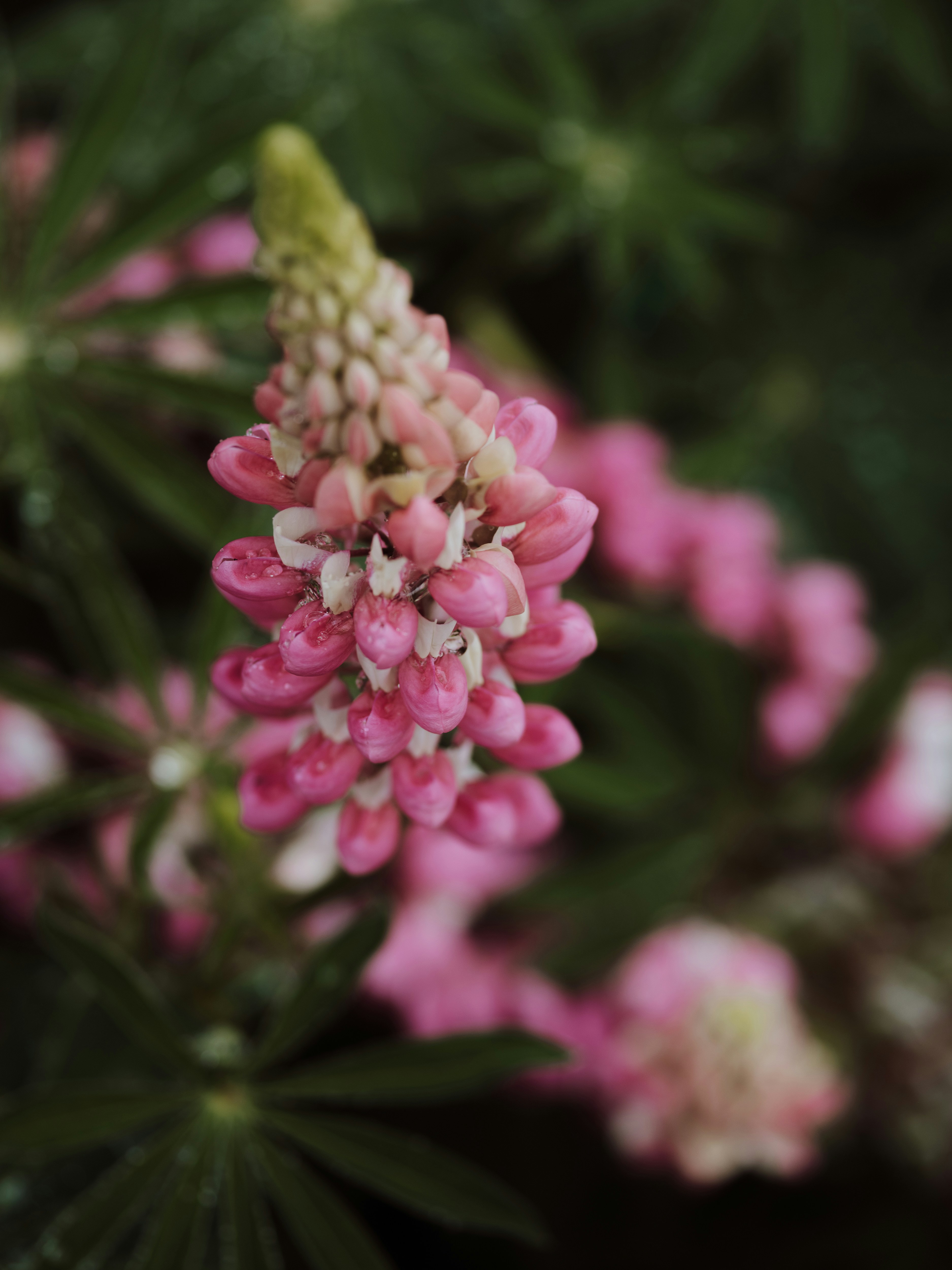 Photo by anniespratt