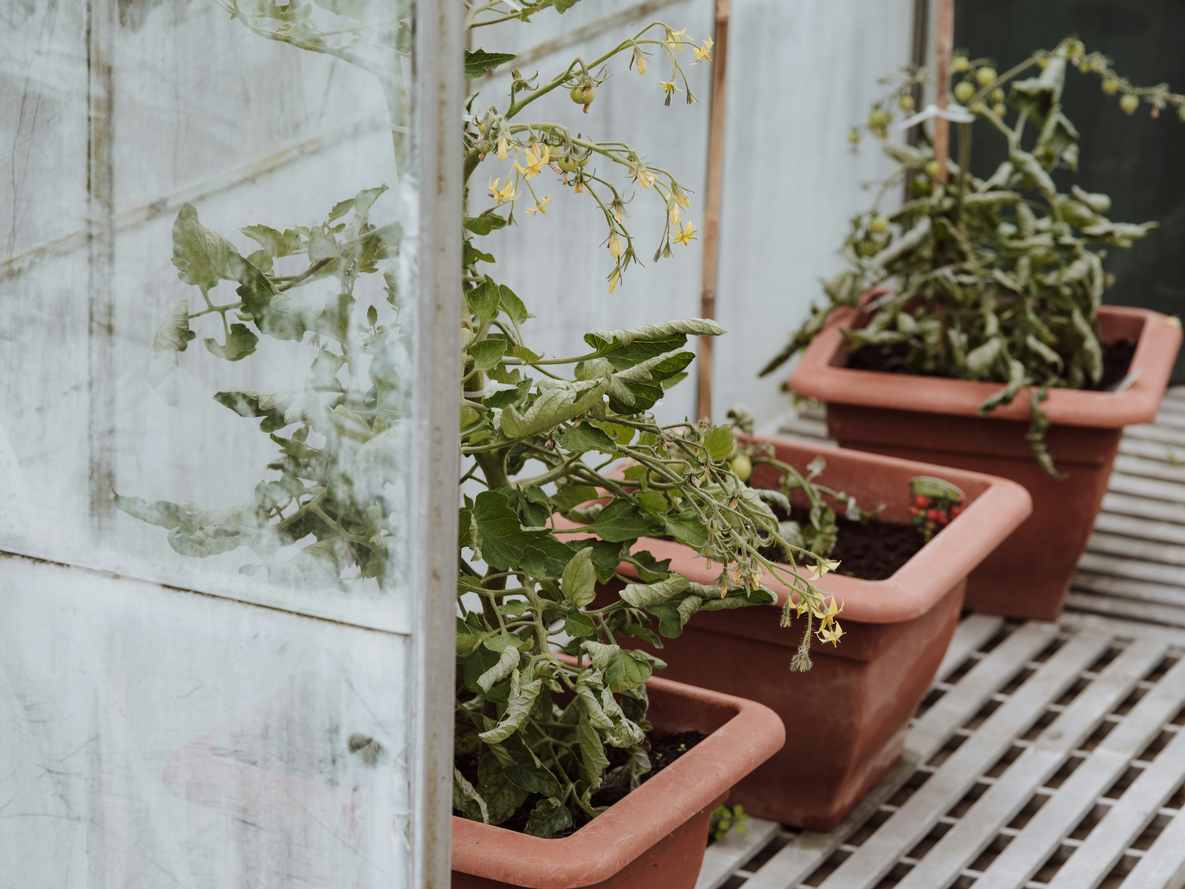 Photo by anniespratt