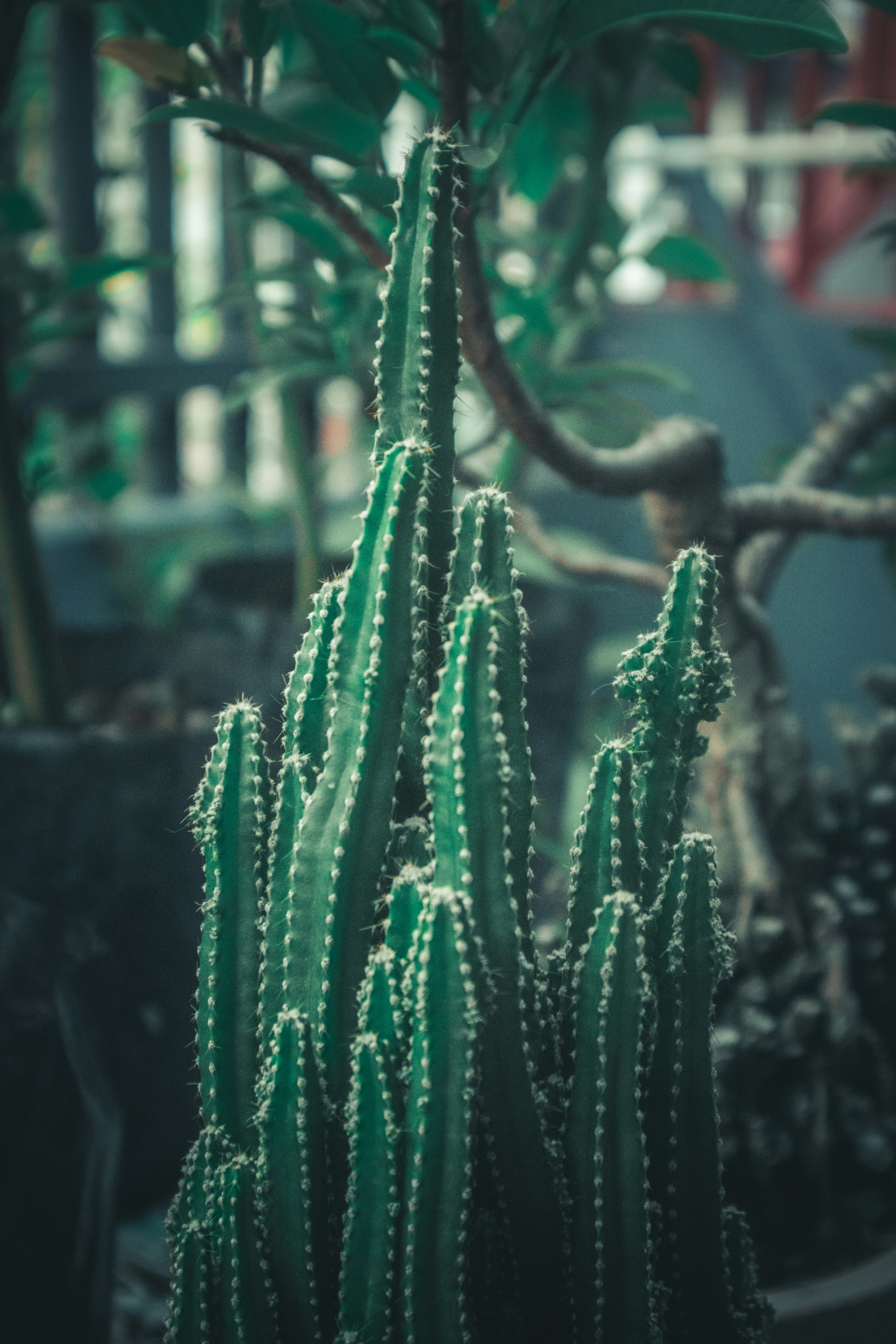 Photo by johnesperancilla