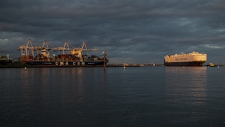 envios maritimos de vietnam a venezuela