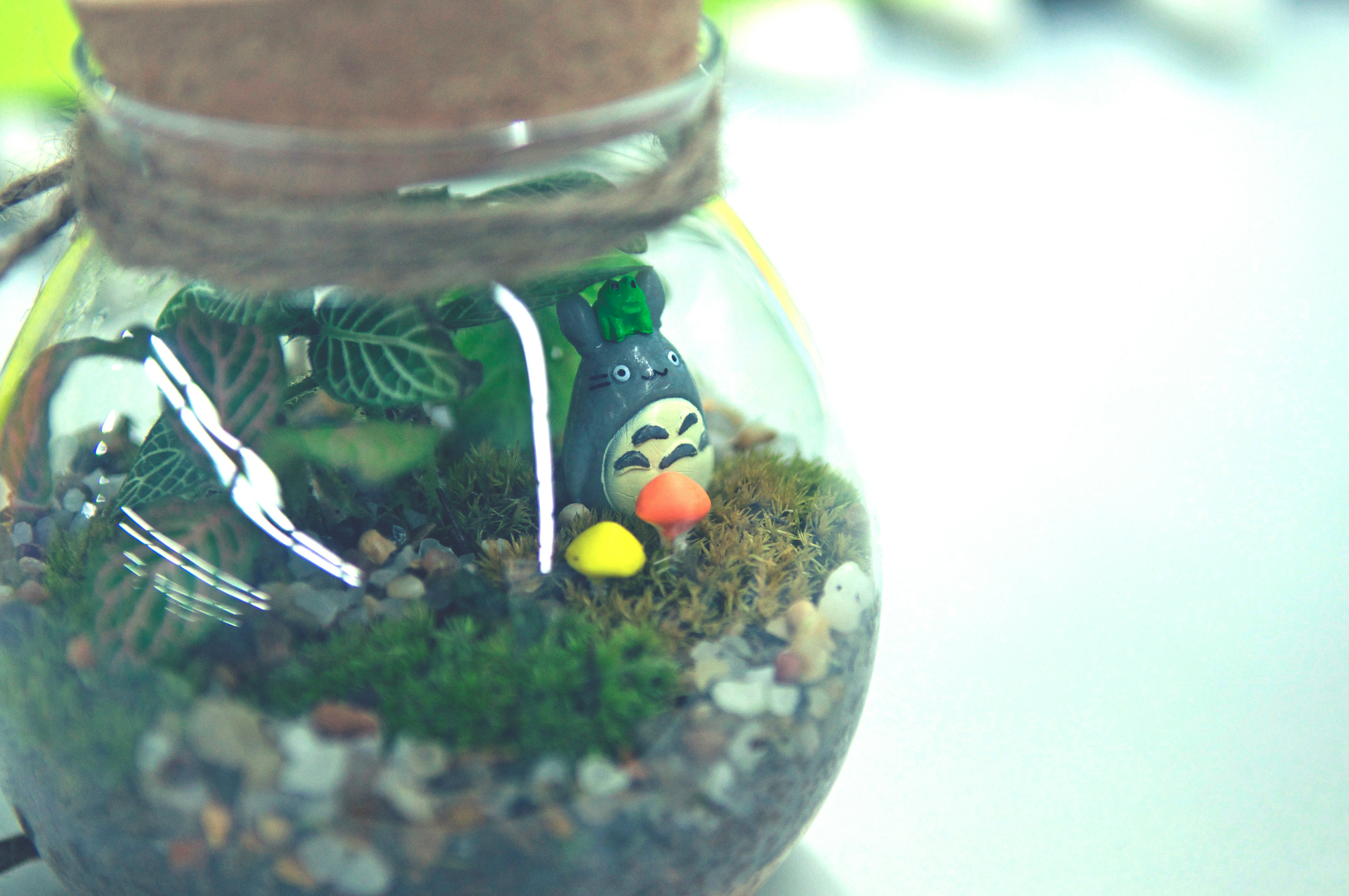 green plant in clear glass jar