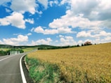 green grass field under blue sky and white clouds during daytime