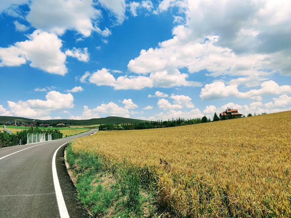 green grass field under blue sky and white clouds during daytime