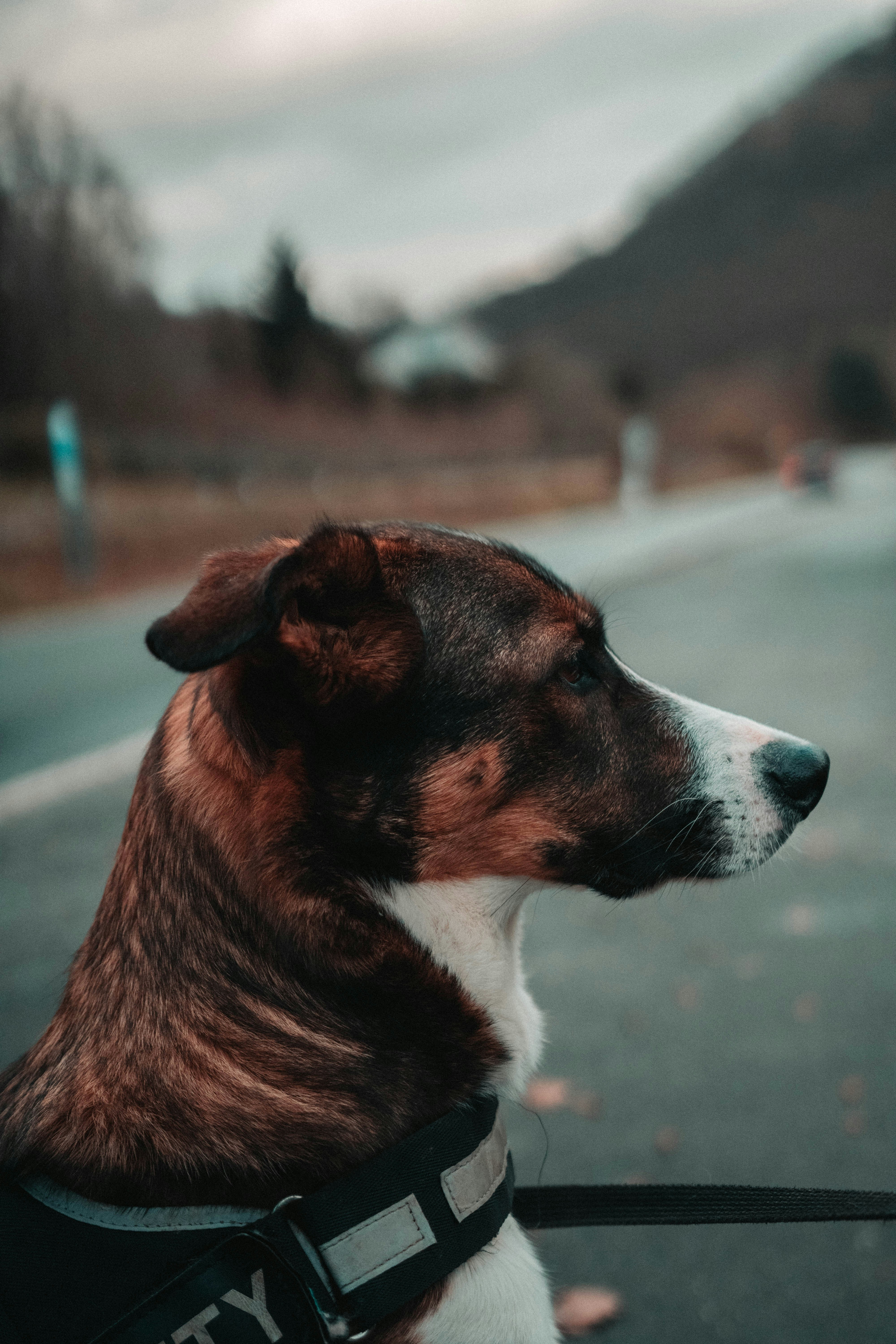 Photo by studentvier009