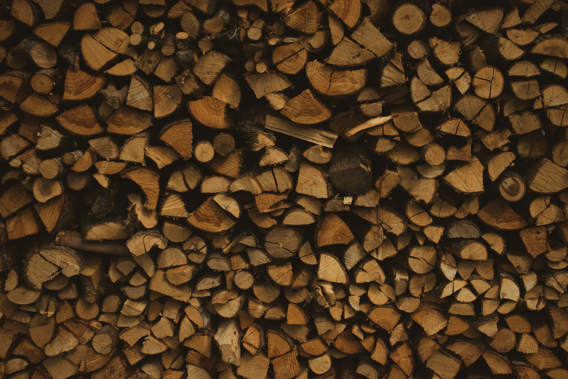 brown and black fire woods