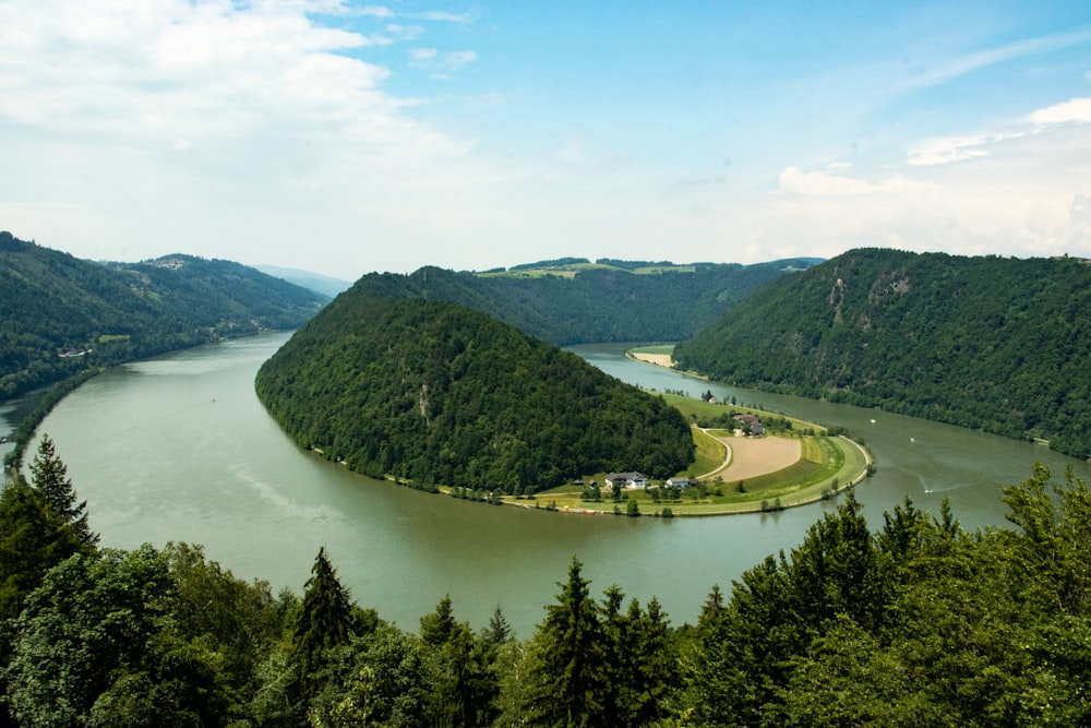 green trees near body of water during daytime