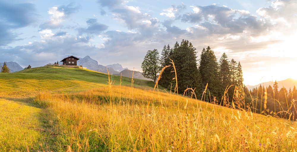 green grass field near green trees and mountain under white clouds and blue sky during daytime